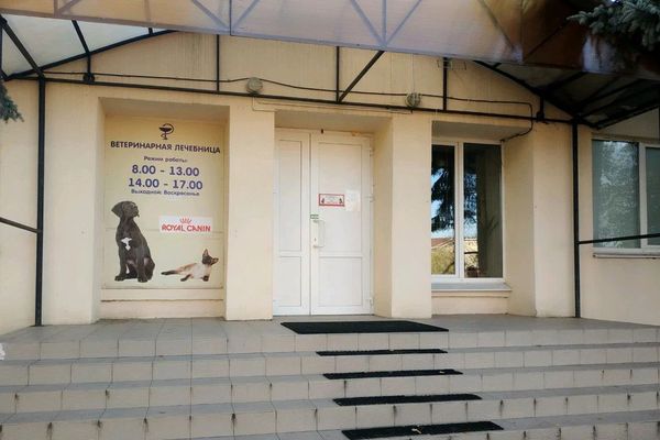 Минская участковая ветеринарная лечебница возобновляет прием пациентов